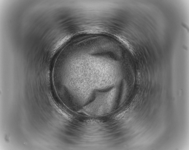 X0000095510535200712281440