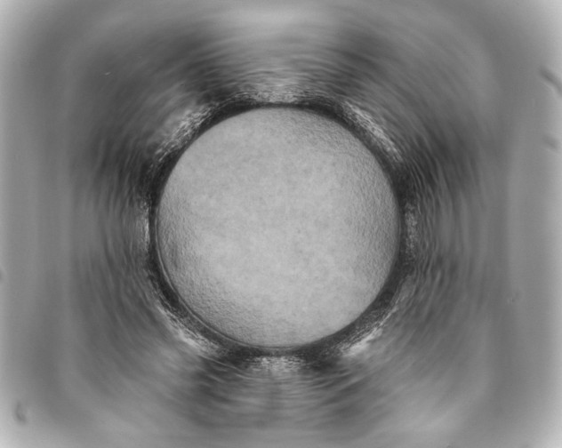 X0000095510541200712281440
