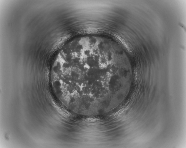 X0000095510542200712281440