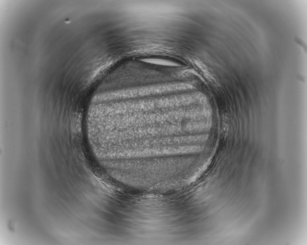 X0000095510543200712281440
