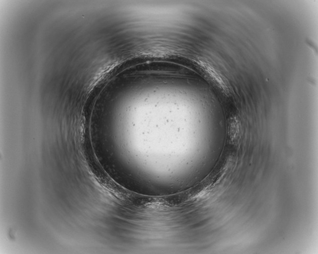 X0000095510544200712281440