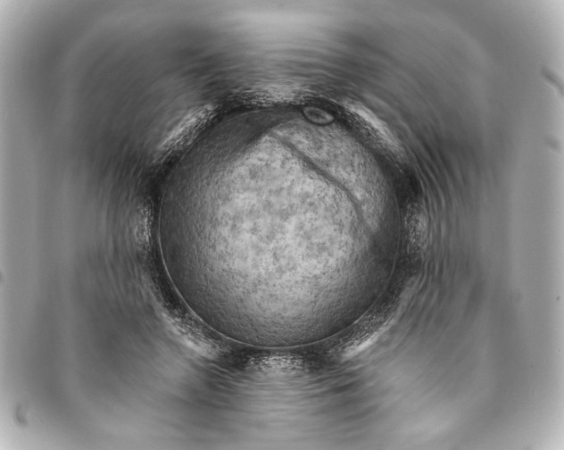 X0000095510546200712281440