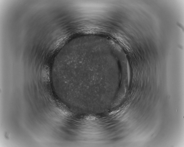 X0000095510547200712281440