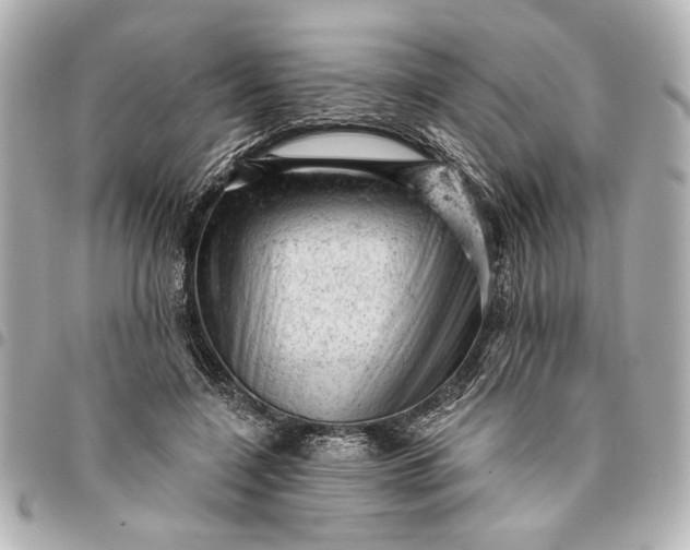 X0000095510548200712281440