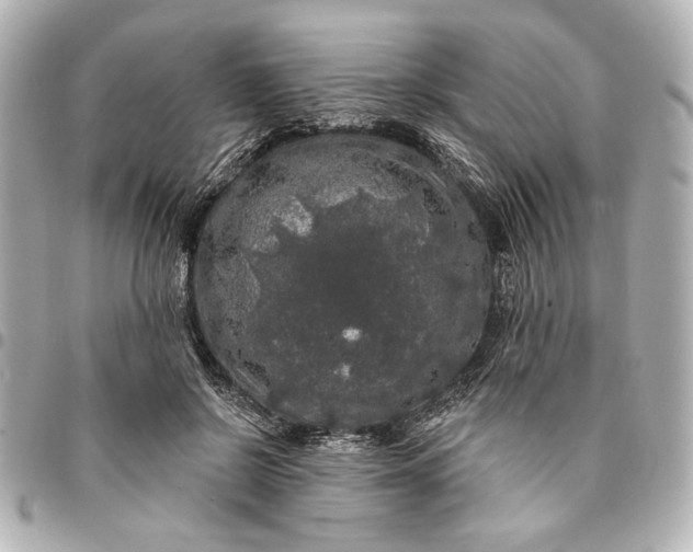 X0000095510550200712281440