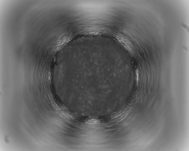 X0000095510551200712281440