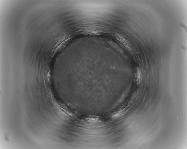 X0000095510552200712281440