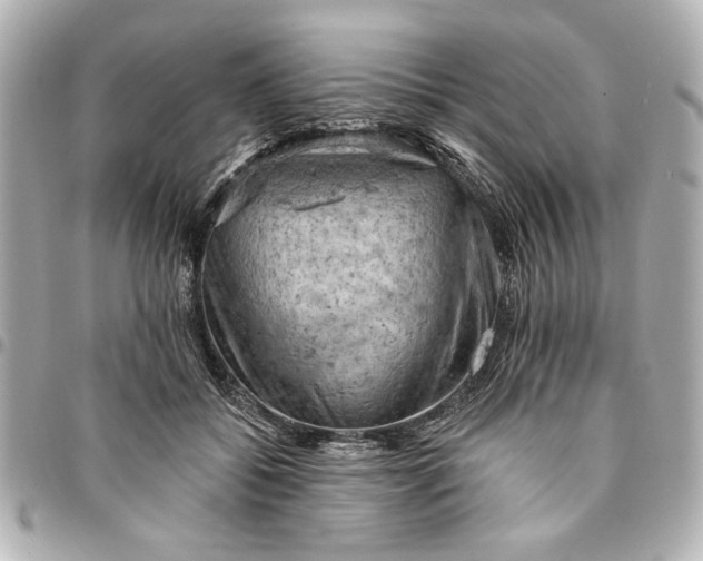 X0000095510556200712281440