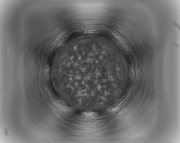 X0000095510557200712281440