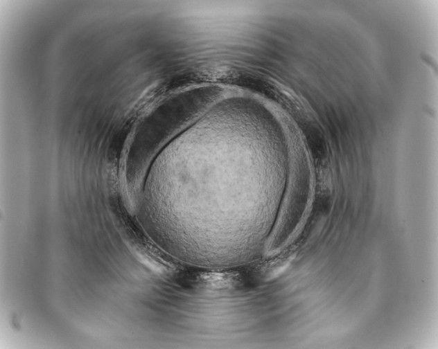 X0000095510558200712281440