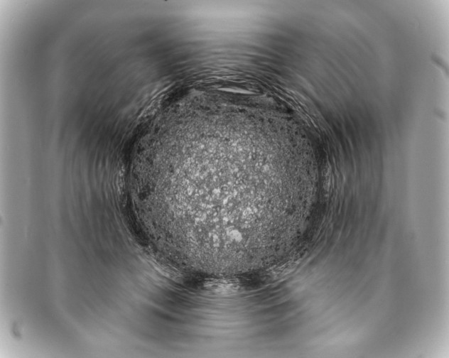 X0000095510559200712281440