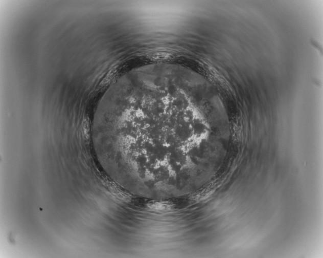 X0000095510561200712281440