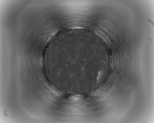 X0000095510563200712281440