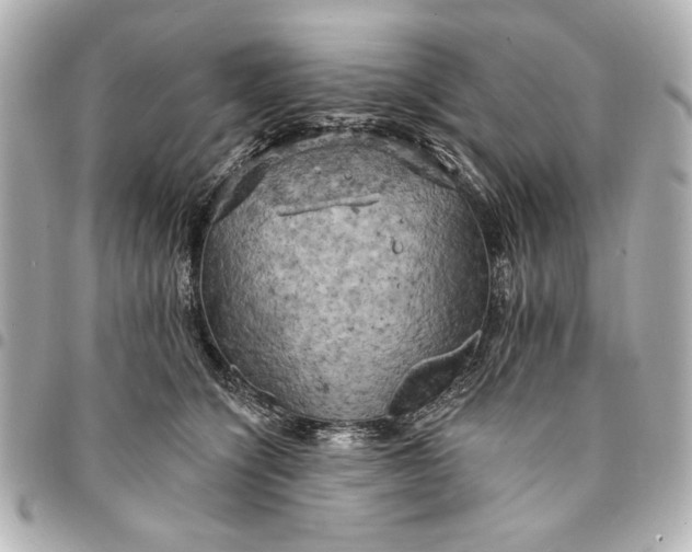 X0000095510564200712281440