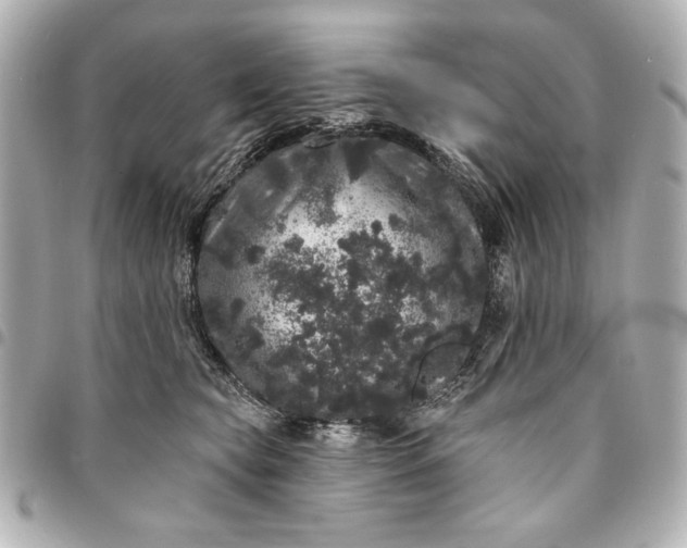 X0000095510565200712281440