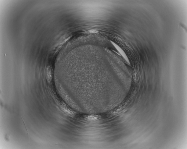 X0000095510566200712281440