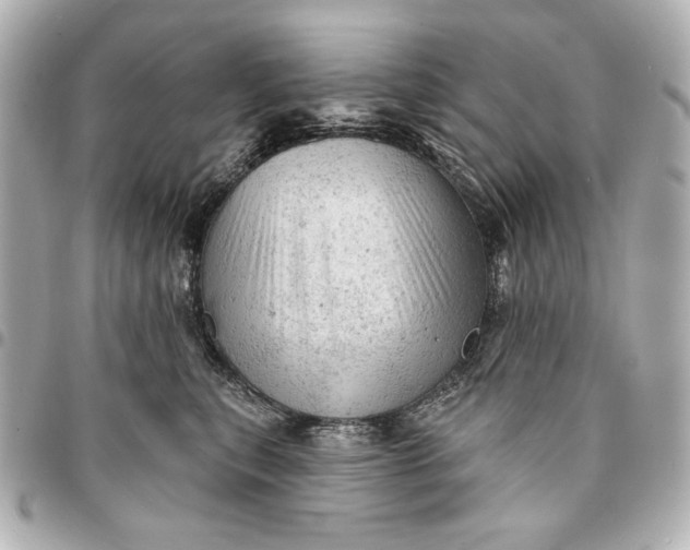 X0000095510567200712281440
