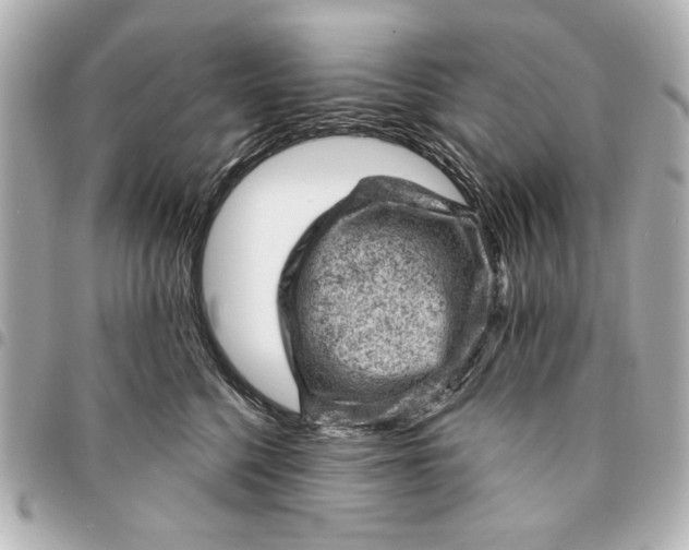 X0000095510568200712281440