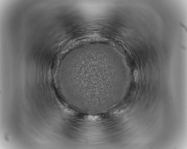 X0000095510570200712281440