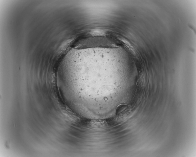 X0000095510571200712281440