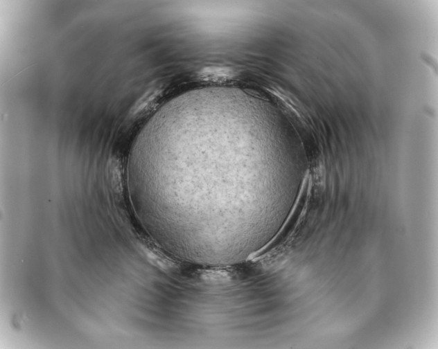 X0000095510572200712281440