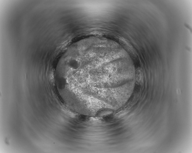 X0000095510573200712281440