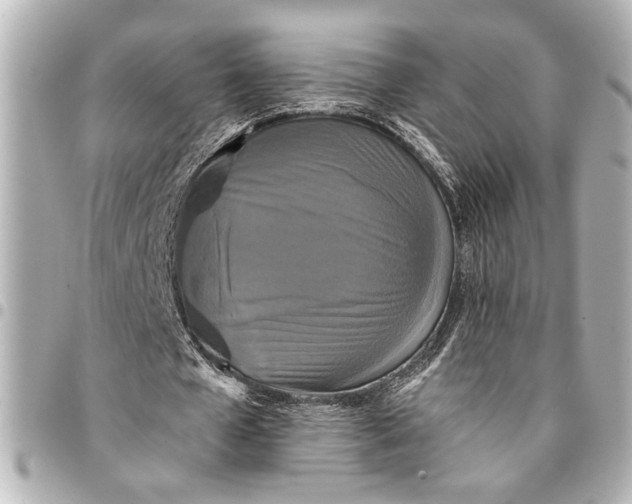 X0000095510577200712281440