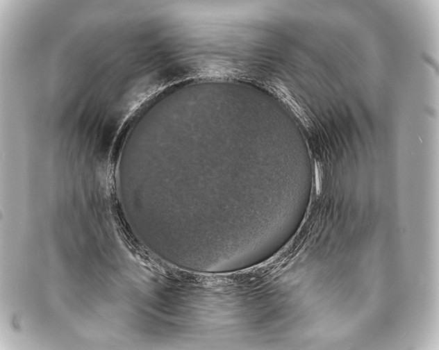 X0000095510579200712281440
