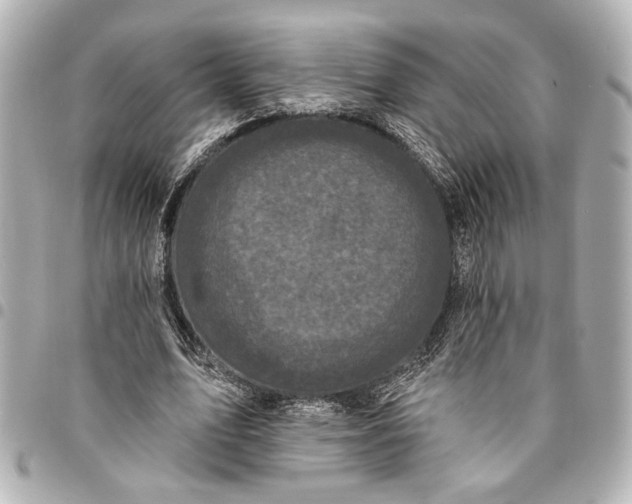 X0000095510583200712281440