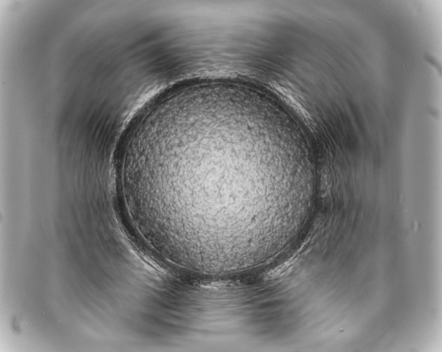 X0000095510584200712281440