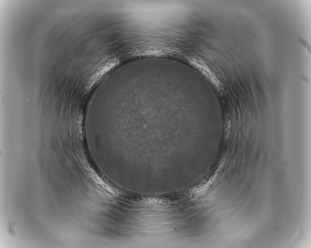 X0000095510585200712281440