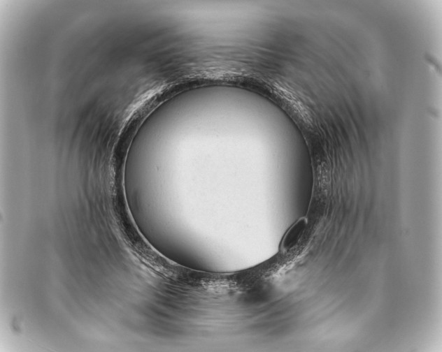 X0000095510587200712281440