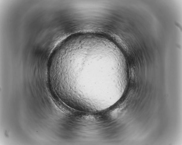 X0000095510588200712281440