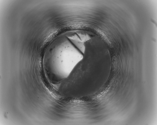 X0000095510590200712281439