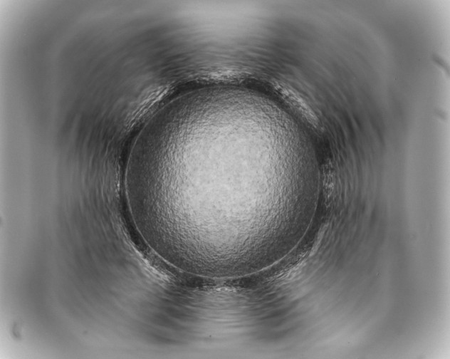 X0000095510593200712281439