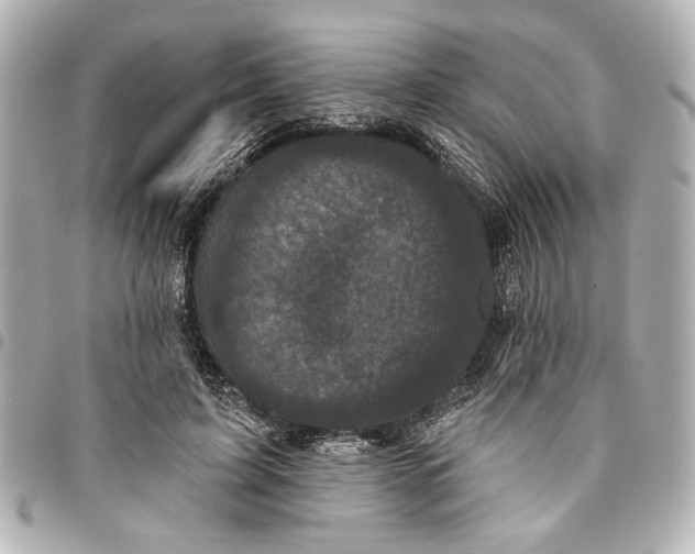 X0000095510595200712281439