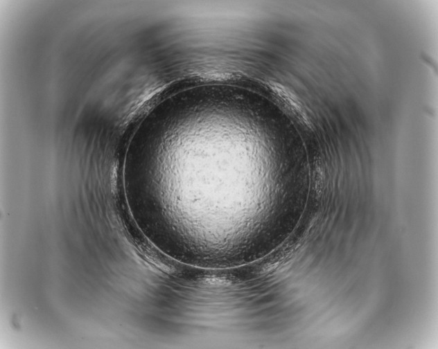 X0000095510596200712281439
