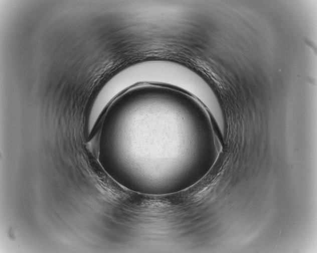X0000095510597200712281439
