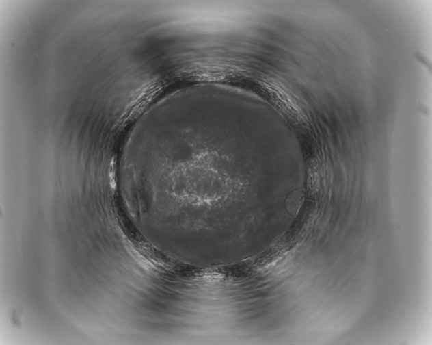 X0000095510598200712281439