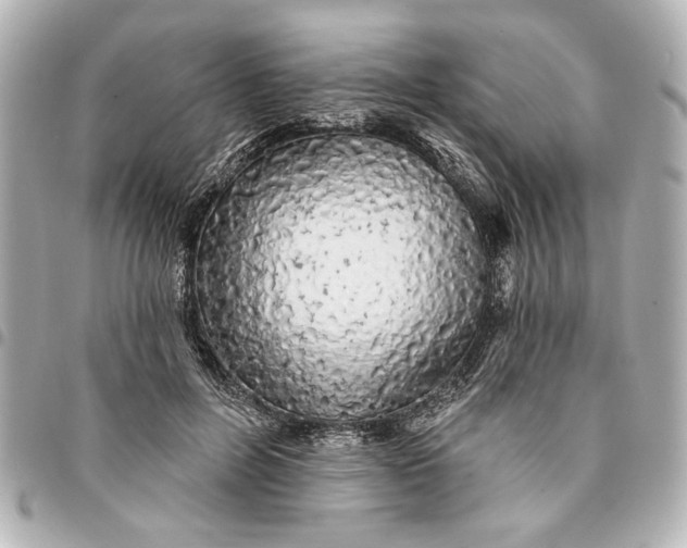 X0000095510600200712281439