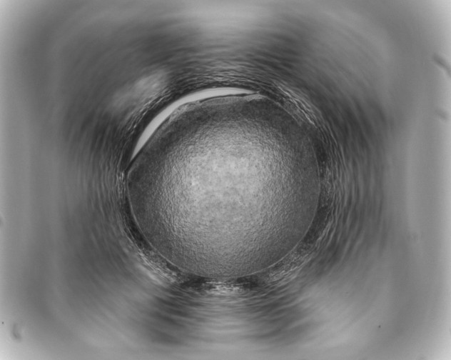 X0000095510601200712281439