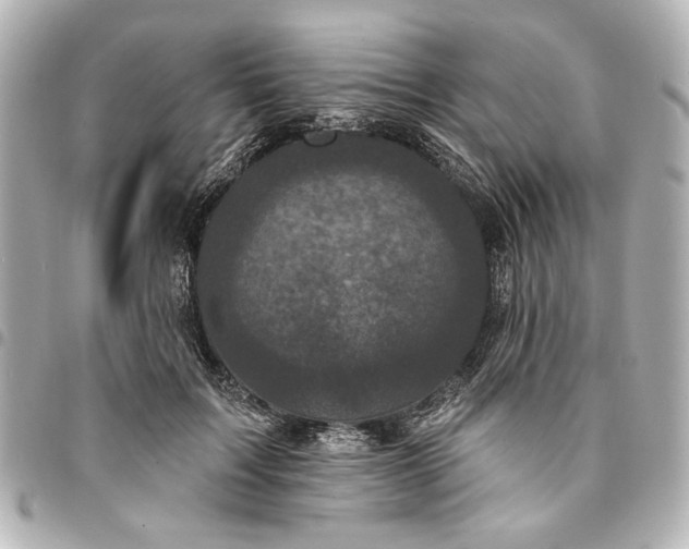 X0000095510603200712281439