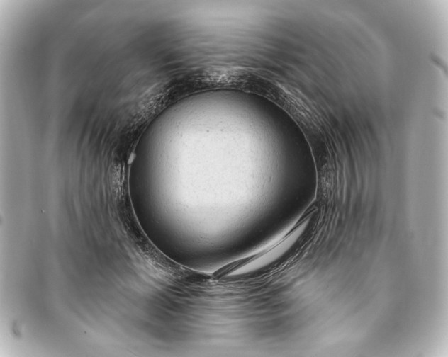 X0000095510605200712281439