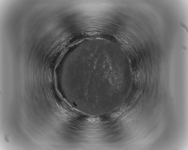X0000095510606200712281439