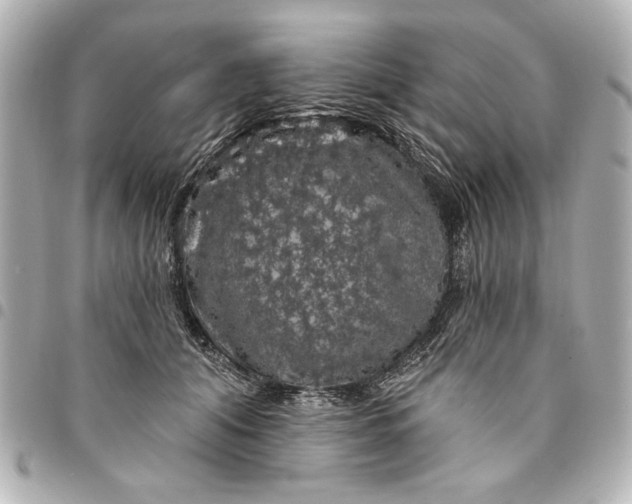 X0000095510608200712281439