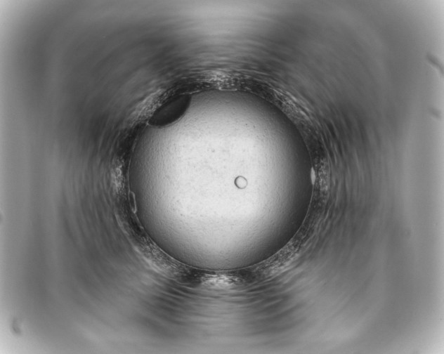 X0000095510611200712281439