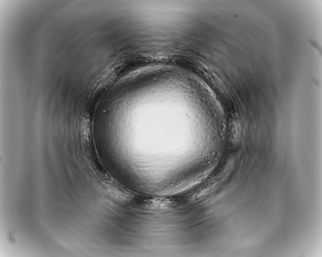 X0000095510612200712281439