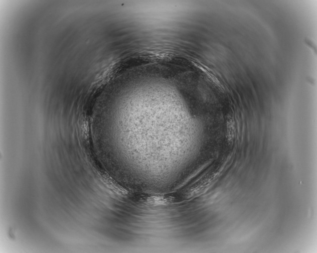X0000095510613200712281439
