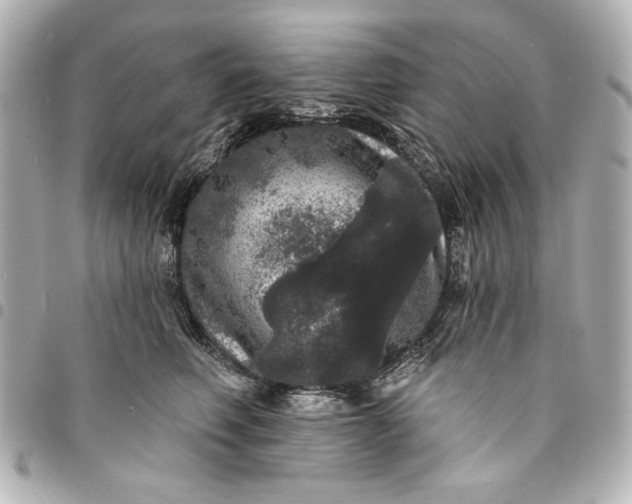 X0000095510614200712281439