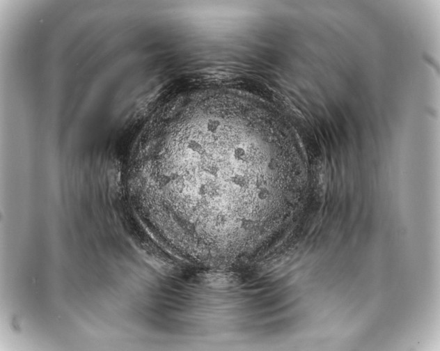 X0000095510615200712281439